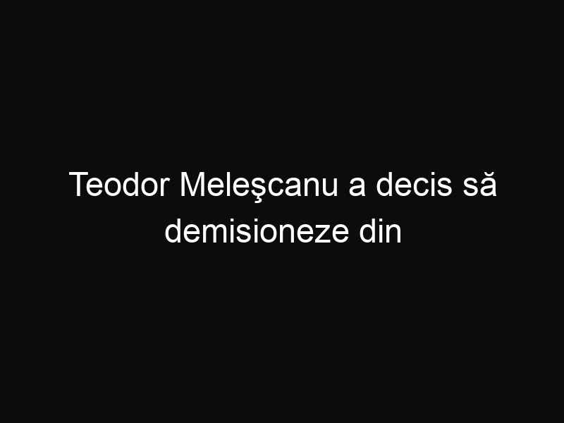 Teodor Meleşcanu a decis să demisioneze din funcţia de Ministru al Afacerilor Externe